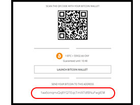 使用比特币在博彩公司存款第三步